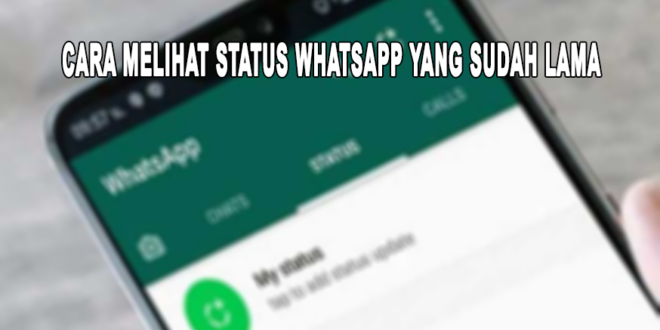 cara melihat status whatsapp yang sudah lama