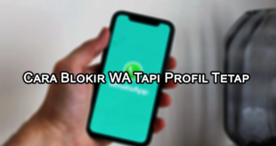 Cara Blokir WA Tapi Profil Tetap Ada