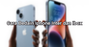 Cara Bedain Iphone Inter dan Ibox