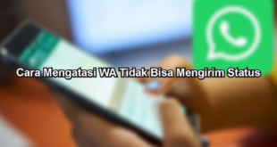 Cara Mengatasi WA Tidak Bisa Mengirim Status