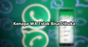 Kenapa WA Tidak Bisa Dibuka Dan Keluar Sendiri